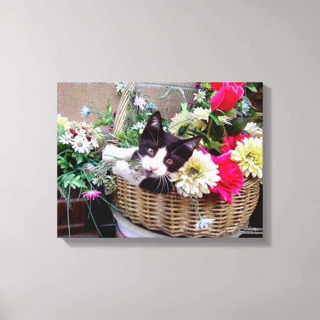 Kitten in a Basket Canvas Print (Front)