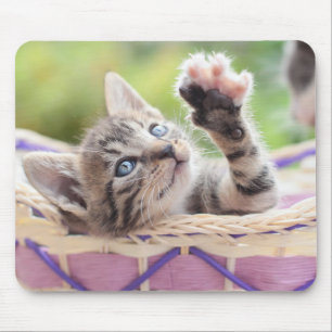 Kitten In A Basket Mouse Pad