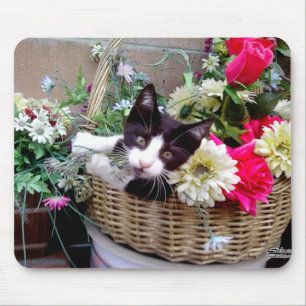 Kitten in a Basket Mouse Pad