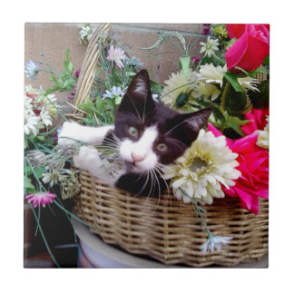 Kitten in a Basket Tile