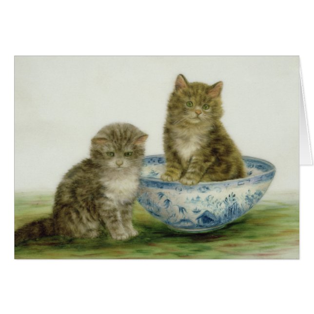 Kitten in a Blue China Bowl (Front Horizontal)