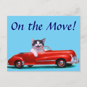 Kitten in a Red Convertible Announcement Postcard