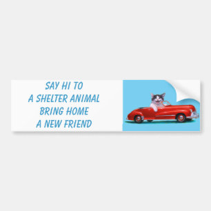 Kitten in a Red Convertible Bumper Sticker