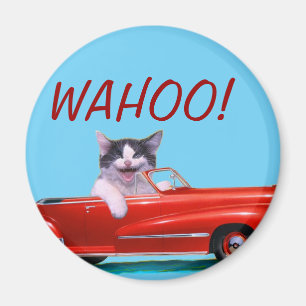 Kitten in a Red Convertible Magnet
