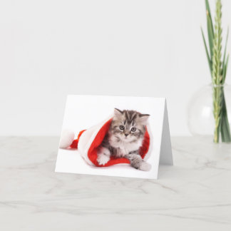 Kitten In A Santa Hat Holiday Card