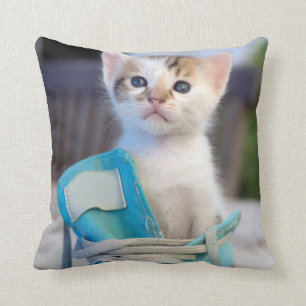 Kitten In A Shoe Cushion