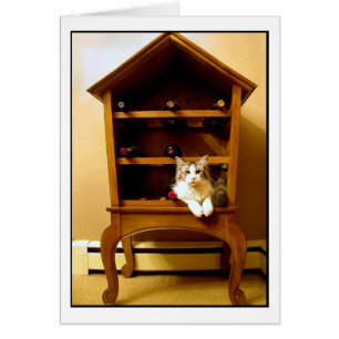 Kitten in a wine rack card