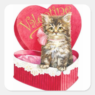 Kitten in Candy Box Square Sticker