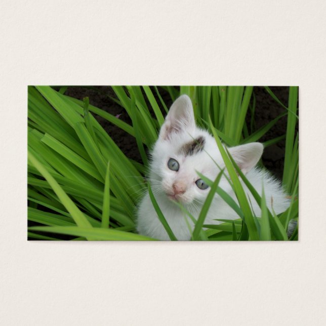 Kitten In Grass Business Card (Front)