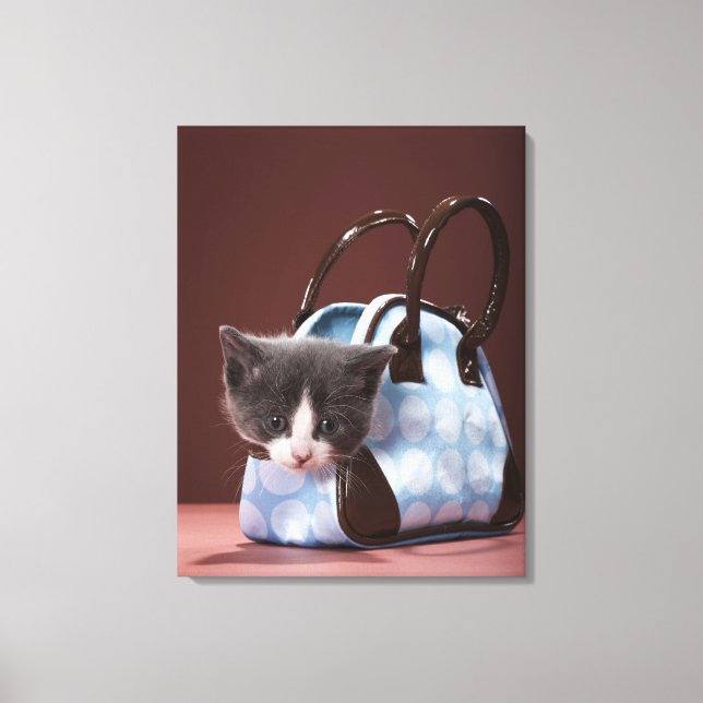 Kitten in handbag canvas print (Front)