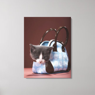 Kitten in handbag canvas print
