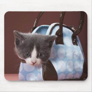Kitten in handbag mouse pad