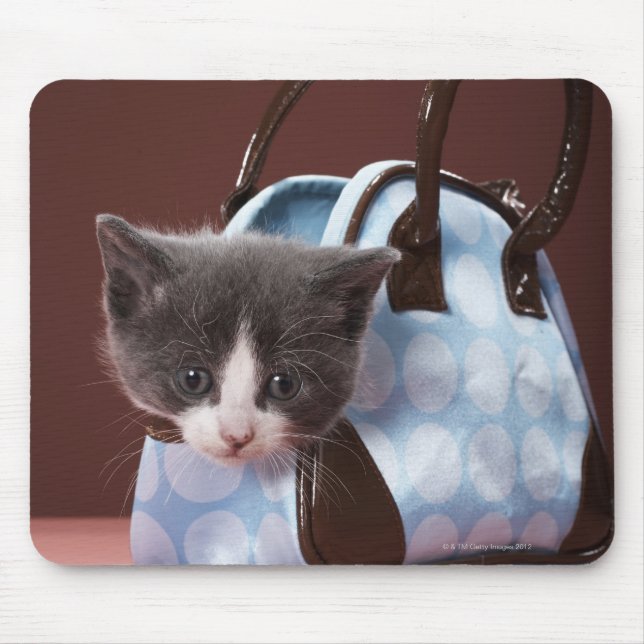 Kitten in handbag mouse pad (Front)