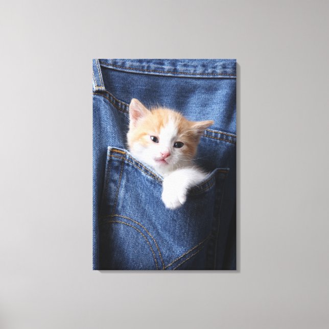 kitten in jeans bag canvas print (Front)