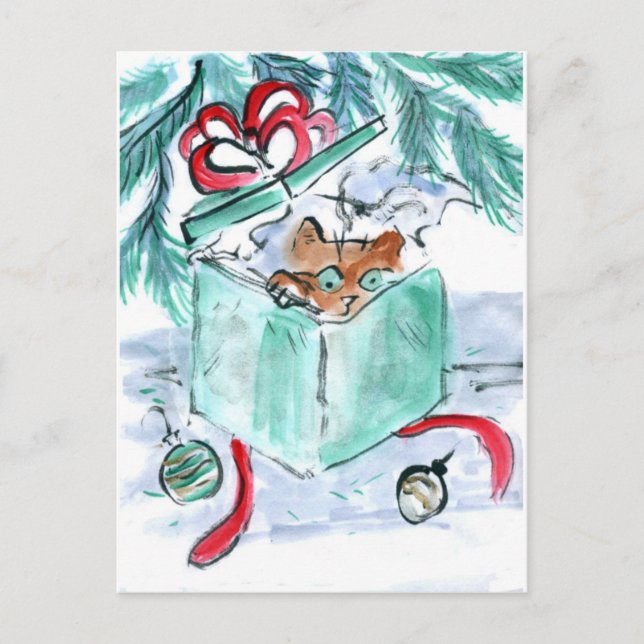 Kitten in Shredded Christmas Present Box Holiday Postcard (Front)