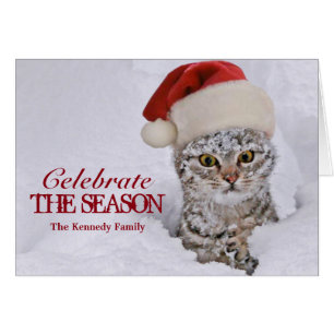 Kitten in snow with santa hat