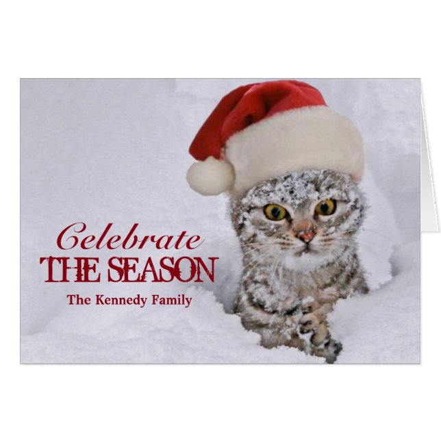 Kitten in snow with santa hat (Front Horizontal)