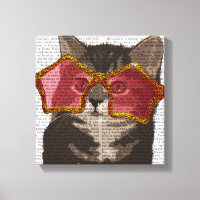 Kitten in Star Sunglasses