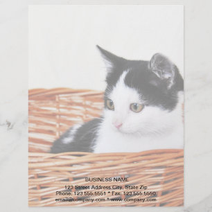 Kitten in the basket customized letterhead