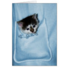 Kitten in the Pocket