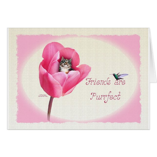 Kitten in the Tulip (Front Horizontal)