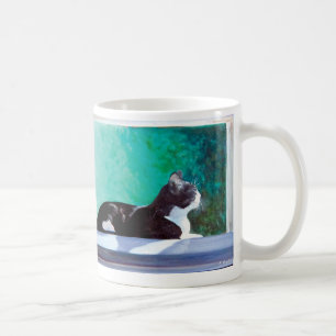 Kitten in the window original art coffee mug