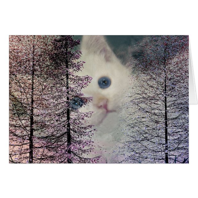 Kitten in Woods (Front Horizontal)