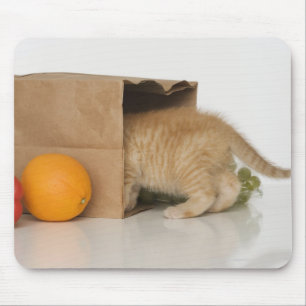 Kitten inside grocery bag mouse pad