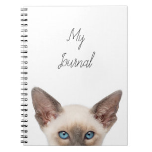 Kitten Journal
