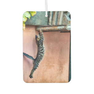 Kitten jumping car air freshener