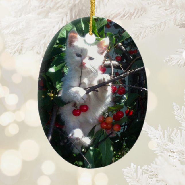 Kitten Keepsake Two Sided Photo Ceramic Tree Decoration (Kitten Keepsake Two Sided Photo Ceramic Ornament)