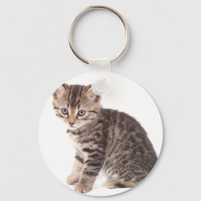 kitten key ring (Front)