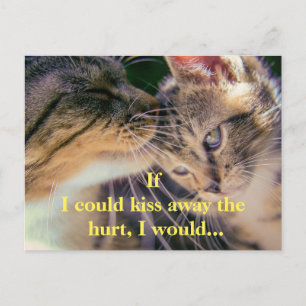 Kitten Kiss Get Well Postcard