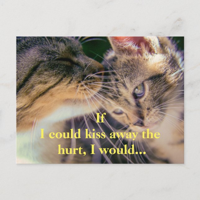 Kitten Kiss Get Well Postcard (Front)