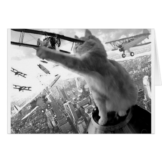 Kitten Kong (Front Horizontal)