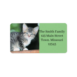 Kitten Label