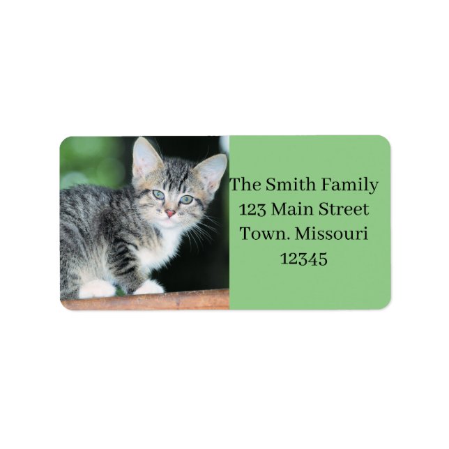 Kitten Label (Front)