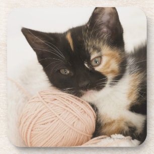Kitten laying on ball of string coaster