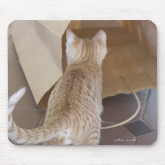 Kitten Looking into the Abyss of a Bag Mouse Pad (Front)