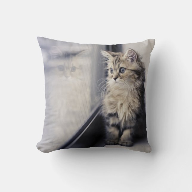 Kitten Looking Out Window Cushion (Front)