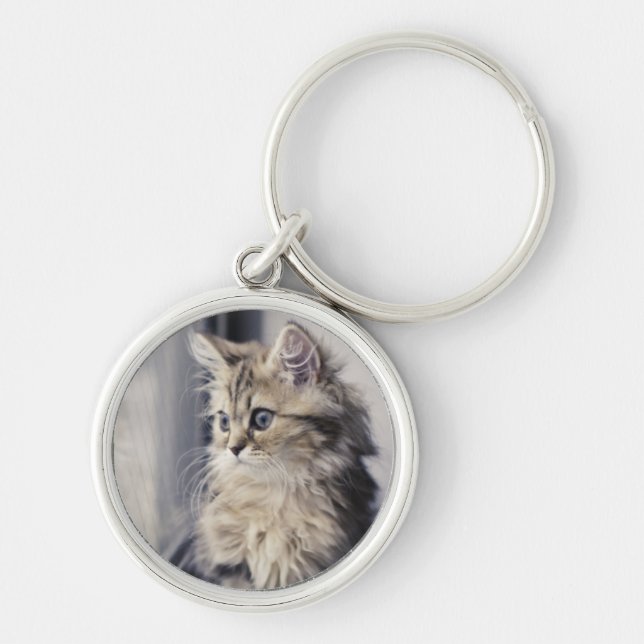 Kitten Looking Out Window Key Ring (Front)