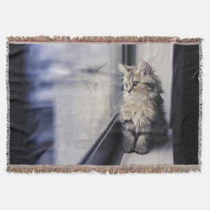 Kitten Looking Out Window Throw Blanket