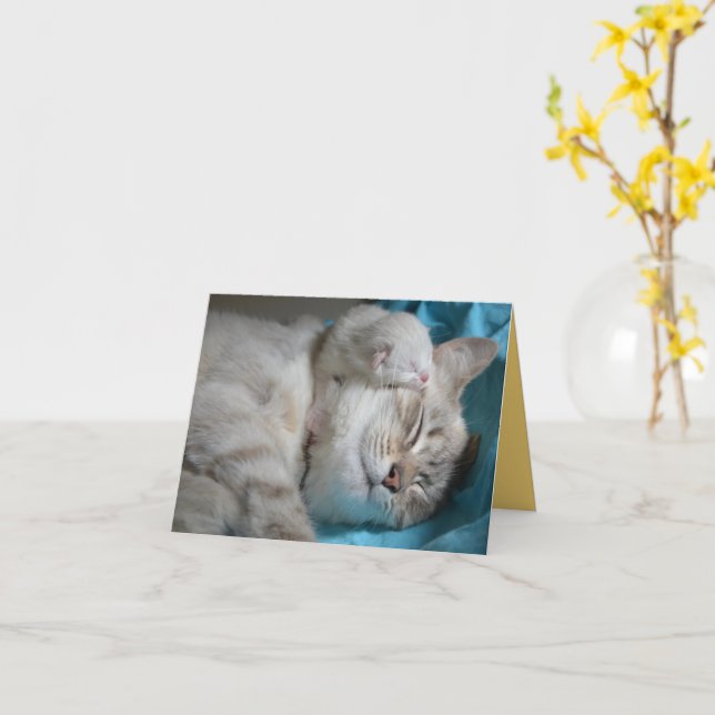Kitten Love Card (Yellow Flower)