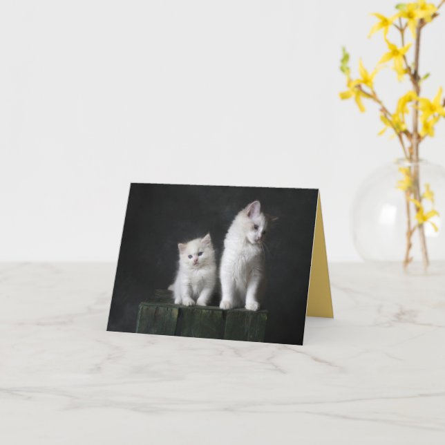 Kitten Love Card (Yellow Flower)