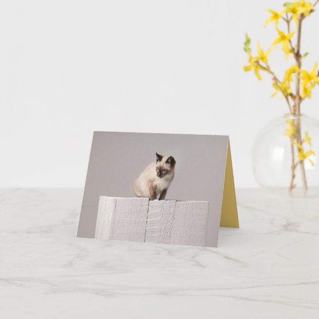 Kitten Love Card (Yellow Flower)