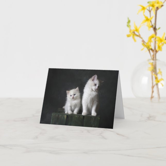 Kitten Love Card (Yellow Flower)