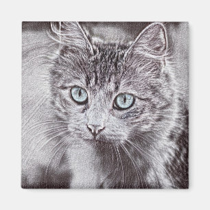 Kitten Love Cute Kitty Cat With Luminous Blue Eyes Magnet