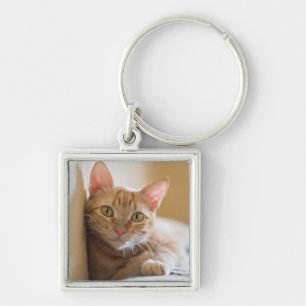 Kitten Lying On The Couch Key Ring
