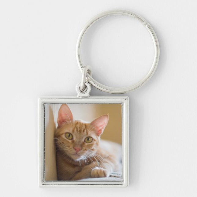 Kitten Lying On The Couch Key Ring (Front)