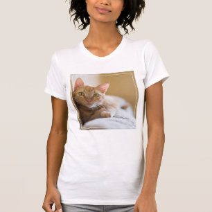 Kitten Lying On The Couch T-Shirt
